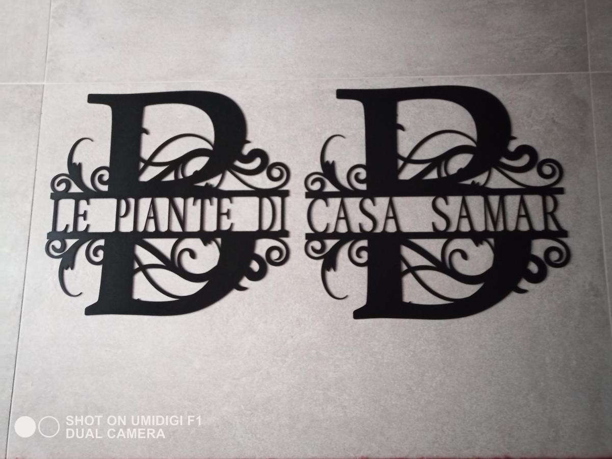 Le Piante Di Casa Samar Bed & Breakfast Castelguelfo Dış mekan fotoğraf