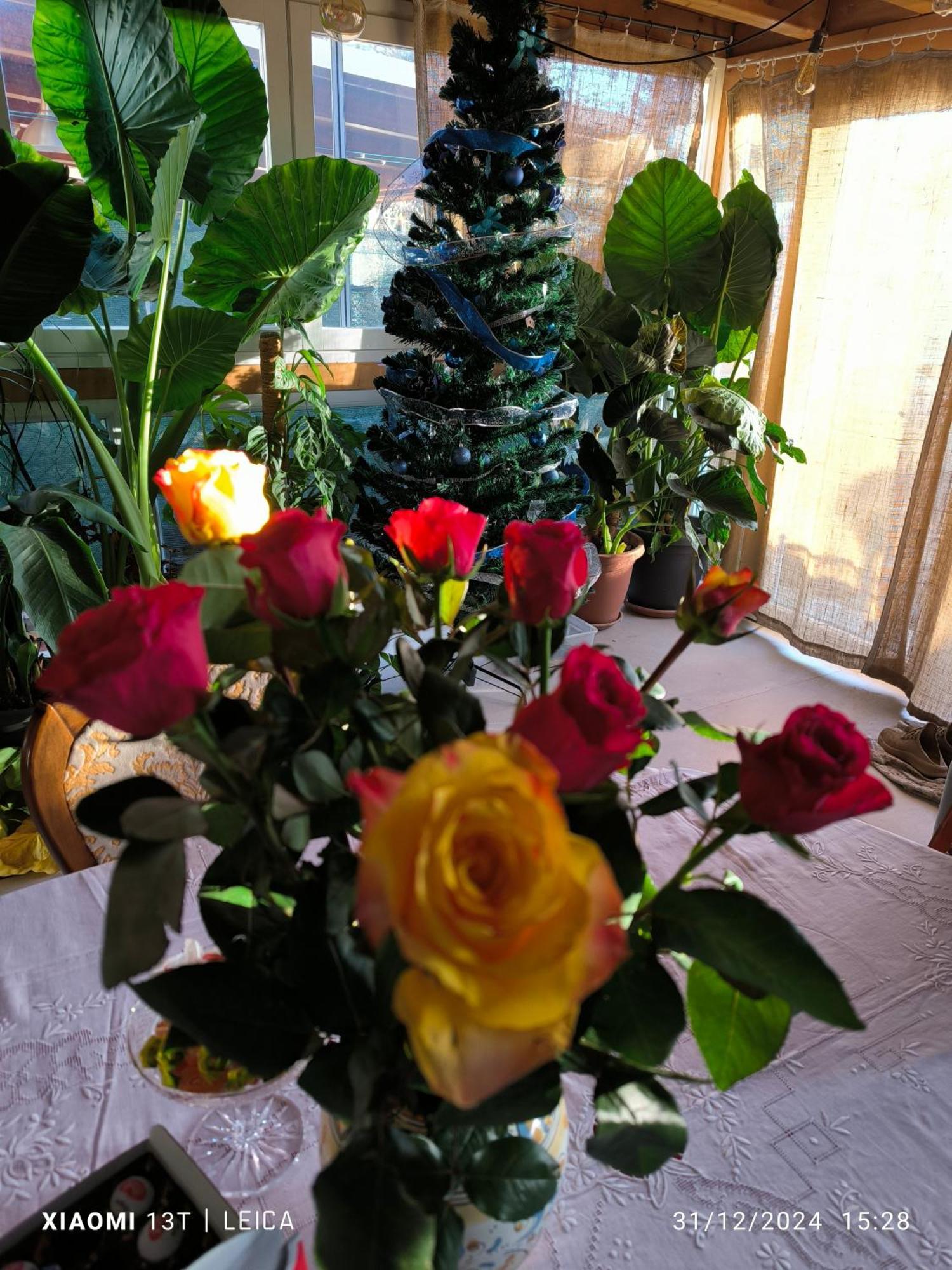 Le Piante Di Casa Samar Bed & Breakfast Castelguelfo Dış mekan fotoğraf